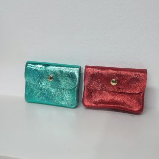 CARTERA PIEL