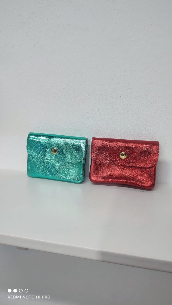 CARTERA PIEL